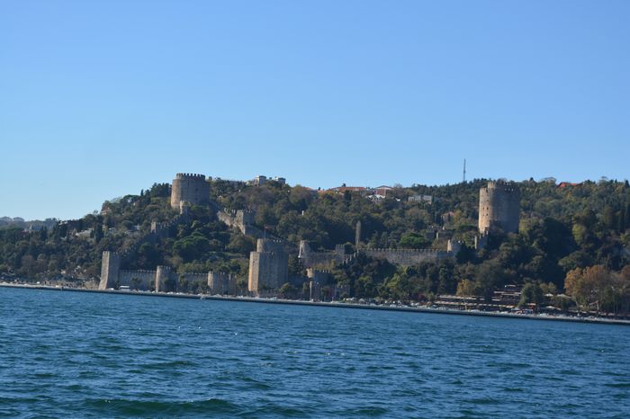 image-.jpg