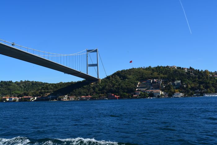 image-.jpg