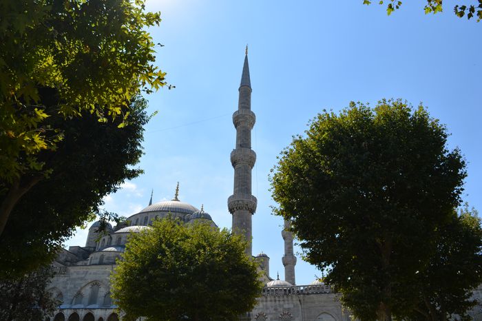 image-.jpg