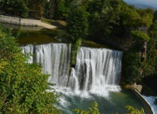 The Need to Reject the Treaty of Bucharest