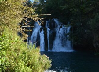 The Neorion at the Heptascalon in the 1351 Naval Battle